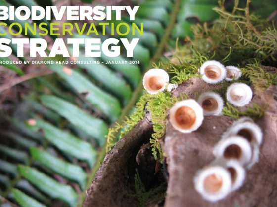 Biodiversity Strategy