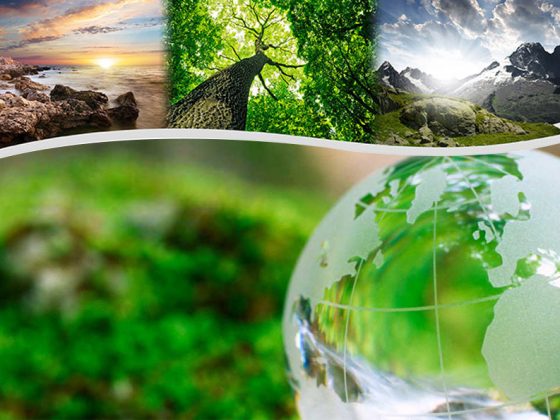 Environmental Management