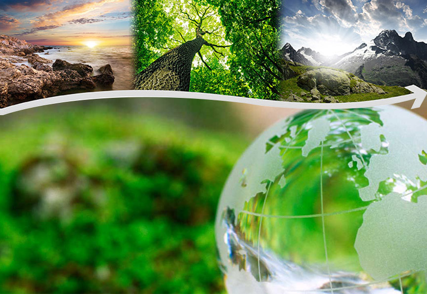 Environmental Management